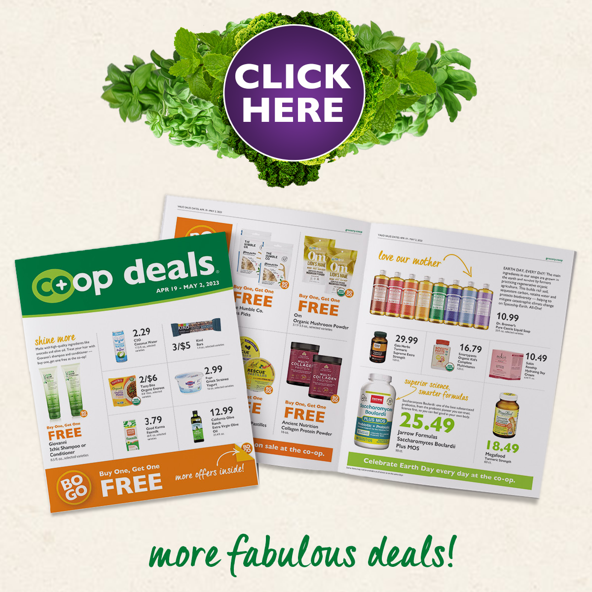 Five Ingredient HighFive Part 2 French Broad Food Co+Op